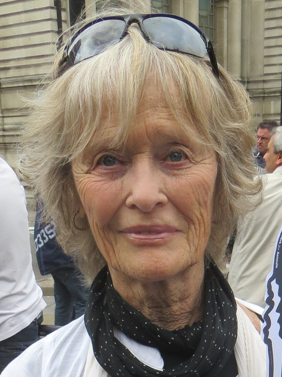 Virginia McKenna Net Worth: Discover Her Amazing Fortune